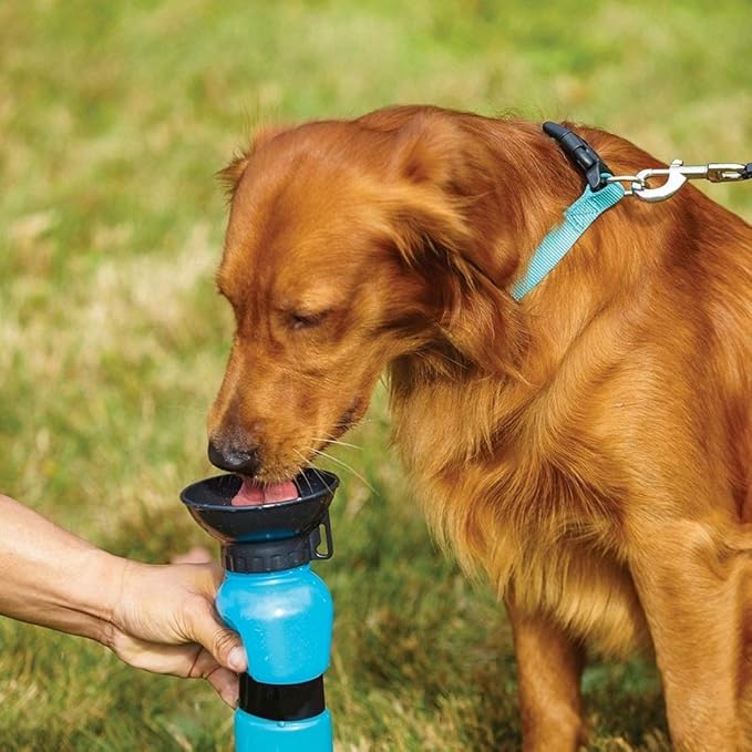 Pet Sipper Portable Water Bottle – Aqua Fresh | Travel Water Dispenser for Dogs & Cats