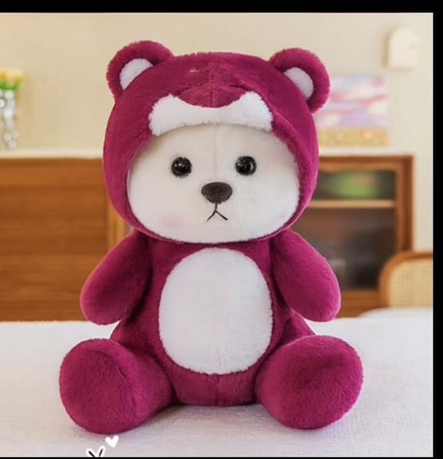 Hoodie Teddy Bear – Cute Soft & Huggable Stuffed Toy